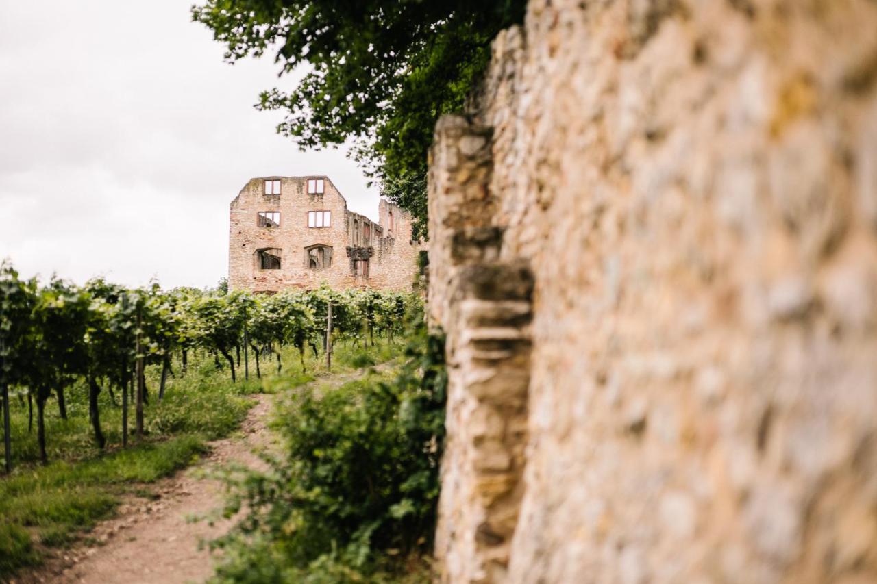Weinzuhause Hotel-Restaurant-Vinothek Mommenheim Εξωτερικό φωτογραφία