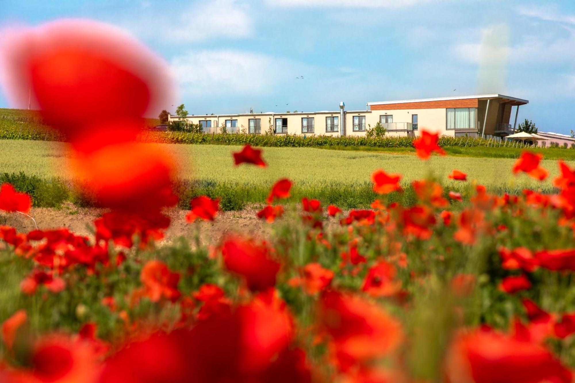 Weinzuhause Hotel-Restaurant-Vinothek Mommenheim Εξωτερικό φωτογραφία